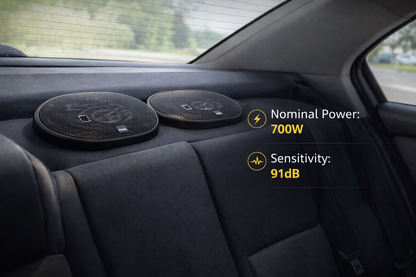 DSK 6x9" Oval Speaker