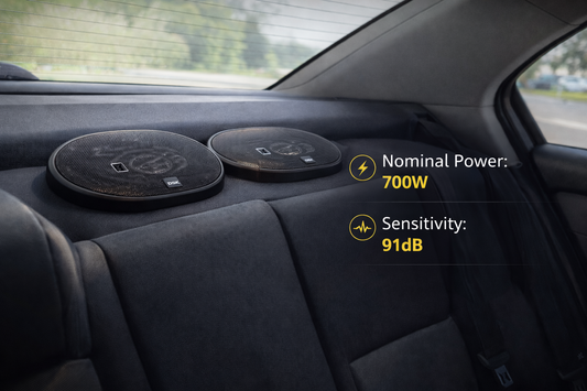 DSK 6x9" Oval Speaker