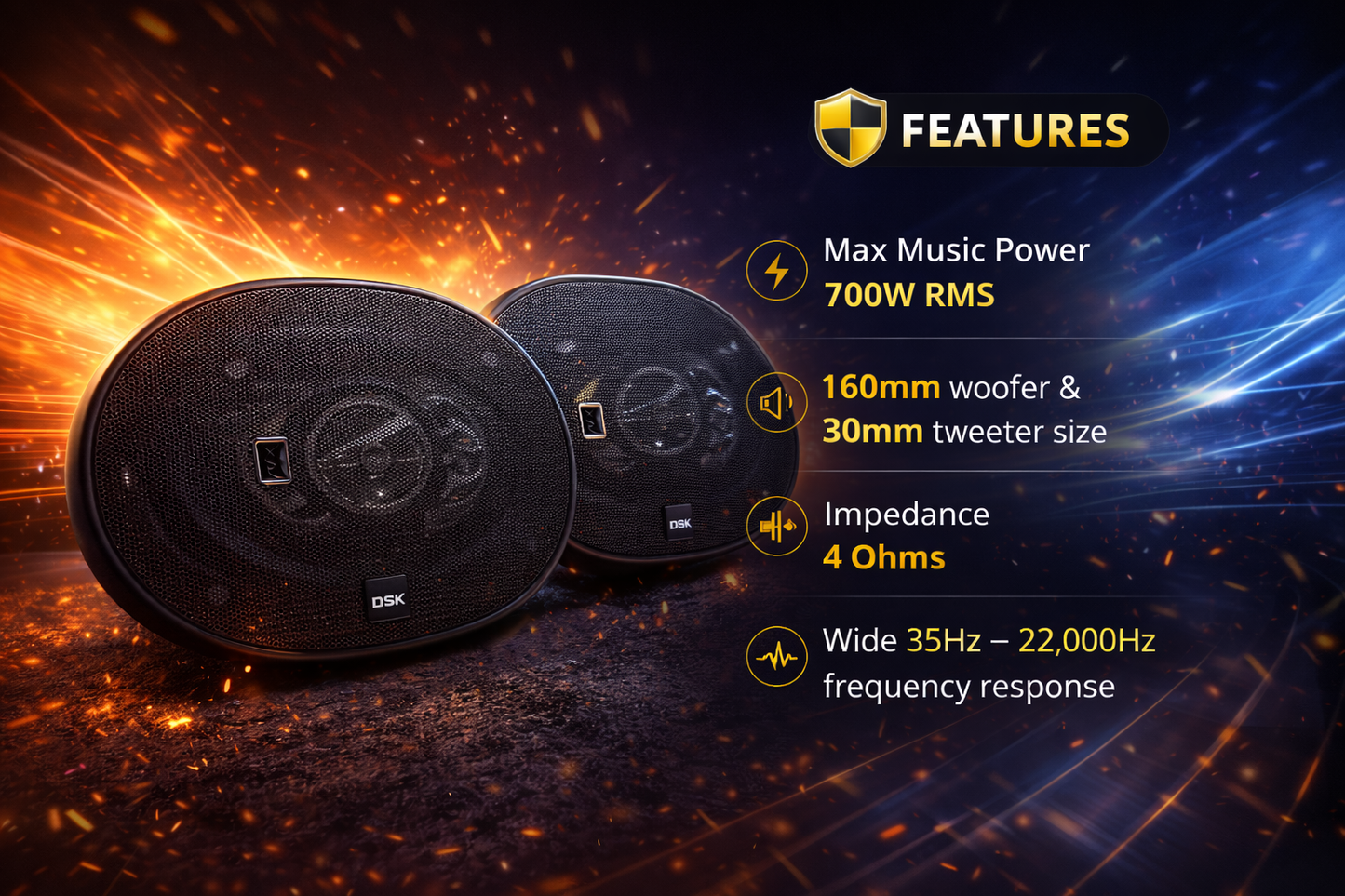 DSK 6x9" Oval Speaker